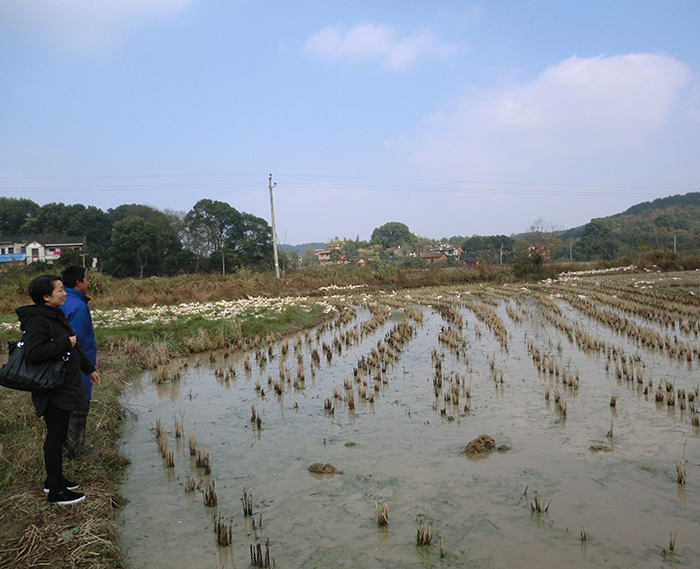 基地圖片